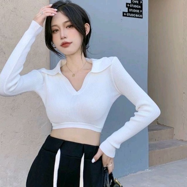 Áo croptop cổ V hở lưng tay dài_TTV2