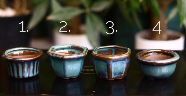 Combo 10 chậu bonsai mini men xanh ( giao ngẫu nhiên )