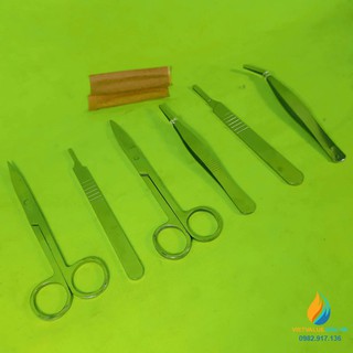 Nghiệm sinh - Bạch Toàn Trân
