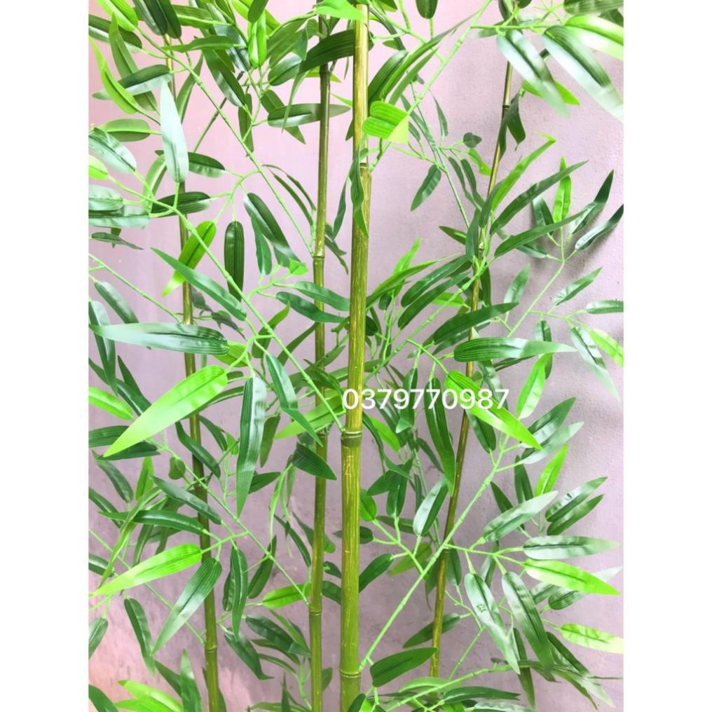 Cây giả - Trúc (tre) giả  cao cấp 1,5m - 2m nhiều lá xịn - lá xanh non