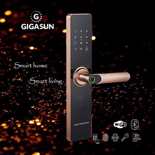 Khóa cửa điện tử Gigasun D01R
