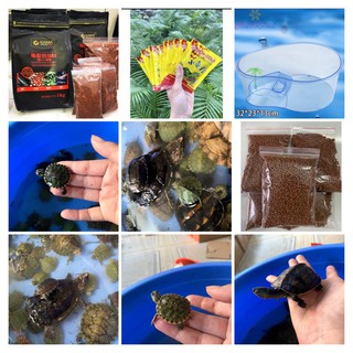 THỨC ĂN RÙA CẢNH - CÁM KAMA - CÁM INCH GOLD  -PHÙ HỢP CHO TẤT CẢ LOẠI RÙA