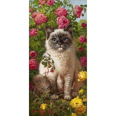 Bộ tranh đính đá 5d họa tiết chú mèo độc đáo kích thước 30x40cm diy dùng trang trí nhà cửa