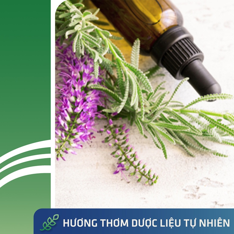 Dầu Gội iCare Antisol Sạch Gàu Chiết Xuất Dược Liệu Sạch Gàu, Giảm Ngứa, Chống Rụng, Không Gây Khô Tóc 240ml