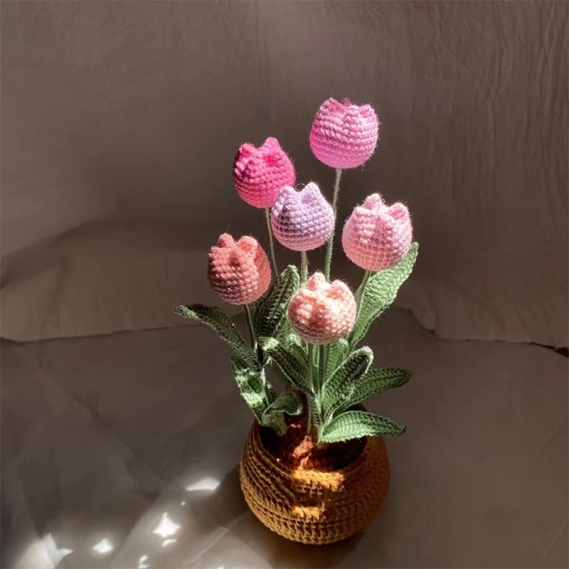 DIY Gói Nguyên Liệu Móc Chậu Hoa Len - Quà Tặng Handmade Tự Làm Decor SJHY0407