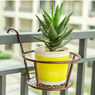 🏡Thành phố Y🎪Giá Đỡ Chậu Hoa Phong Lan Treo Tường Bằng Sắt Phong Cách Châu Âu Độc Đáo Trang Trí Nhà Cửa
