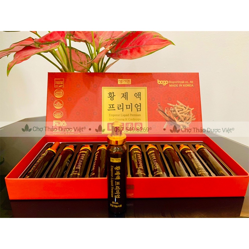 Tinh chất đông trùng hạ thảo hộp 10 ống - Chợ Thảo Dược Việt