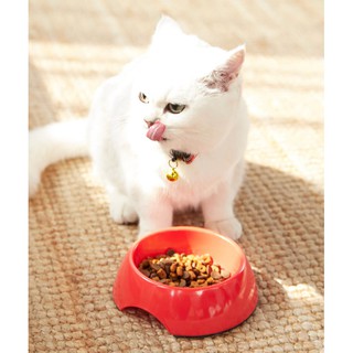 BỘ ĐỒ CHƠI CHO MÈO MINI MONSTAR