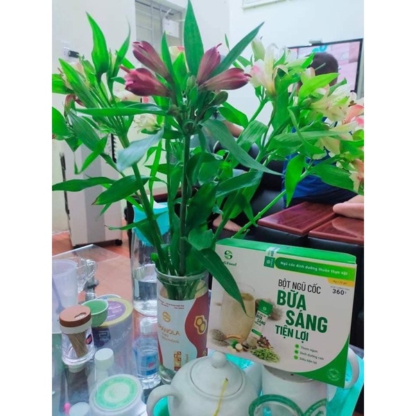 Bột Ngũ Cốc Ăn Sáng Tiện Lợi Lolifood