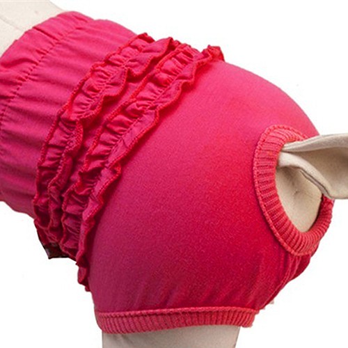 Quần Tã Đáng Yêu Cho Thú Cưng