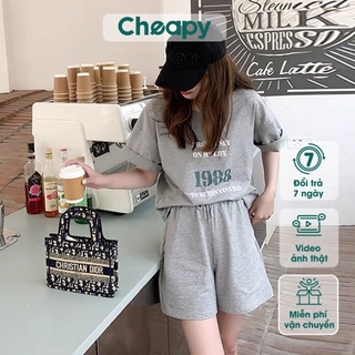Bộ thun 1988 Cheapy cộc tay cotton khô Set áo thun cổ tròn tay lỡ phom rộng kèm quần short cạp chun freesize nam nữ C802