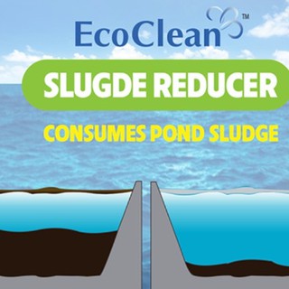 Vi sinh xử lý đáy ao hồ - EcoClean Sludge Reducer