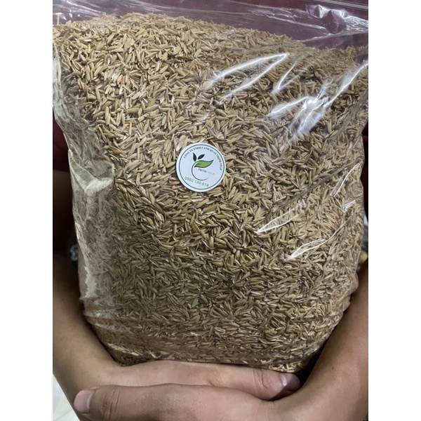 VỎ TRẤU TƯƠI 1 túi đầy khoảng 1kg dùng trộn đất trồng cây. Dùng làm giá thể trồng cây