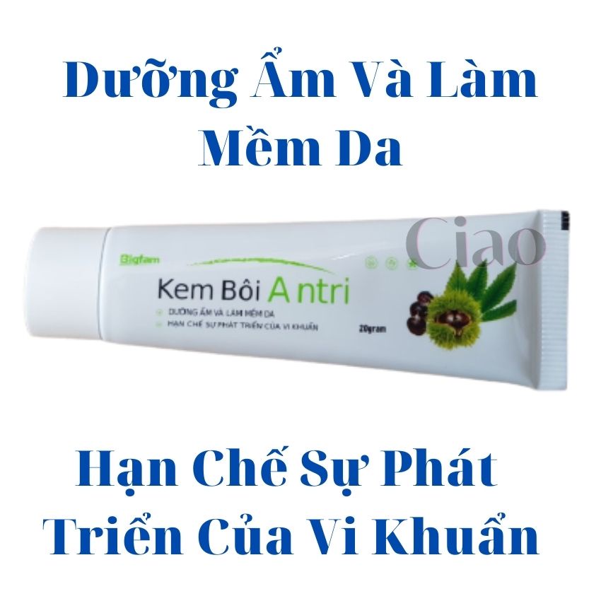 Kem Bôi ANTRI BIGFAM Hỗ Trợ Dưỡng Ẩm Và Làm Mềm Da, Hỗ Trợ Người Bị Trĩ Mới Và Lâu Năm Tuýp 20g