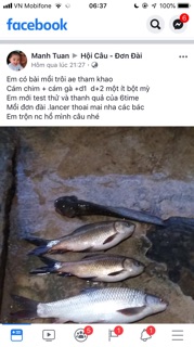 Mồi Câu Mộc