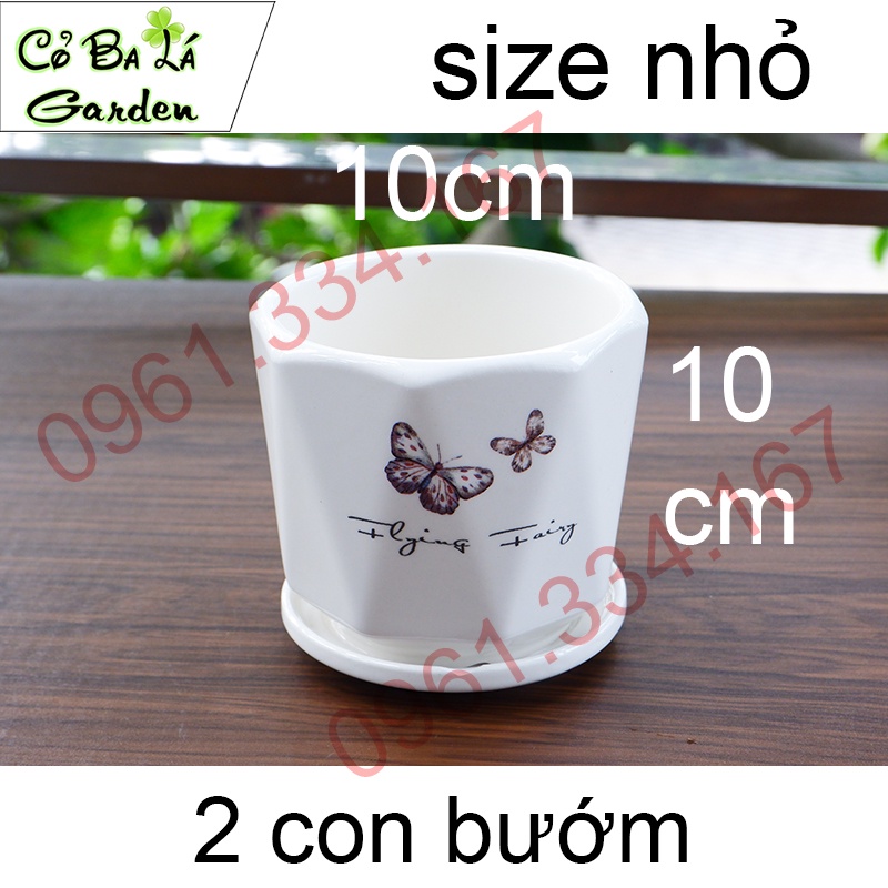 Chậu sứ trồng cây kèm đĩa hứng nước,1 bộ có 3 SIze tự chọn