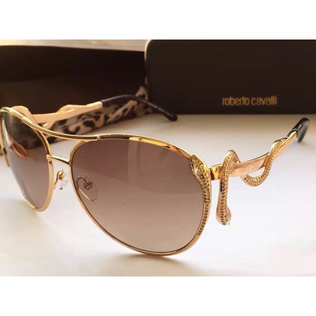Mắt kính thời trang Roberto cavalli