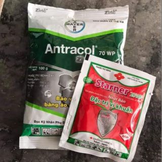 Bộ trị nấm tổng hợp gồm 1 antracol + 2 starner