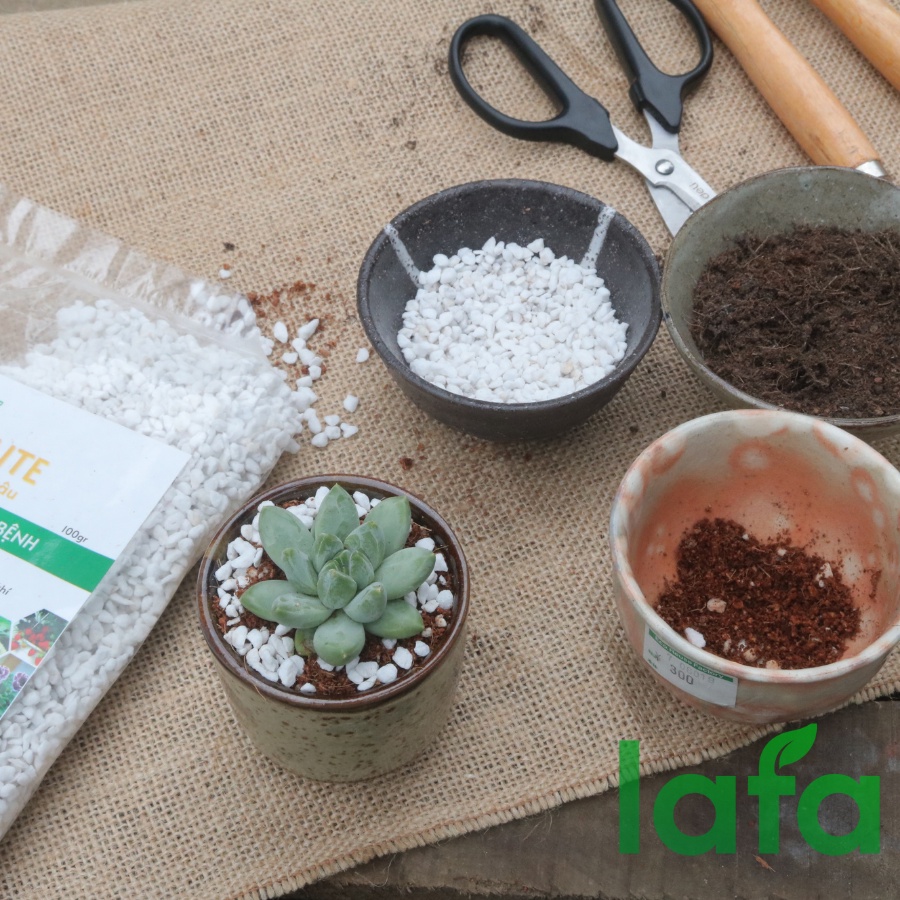 Đá perlite đá trân châu LAFA trồng cây sen đá, hoa kiểng 1 túi 1 Lít , tơi xốp sử dụng làm vườn