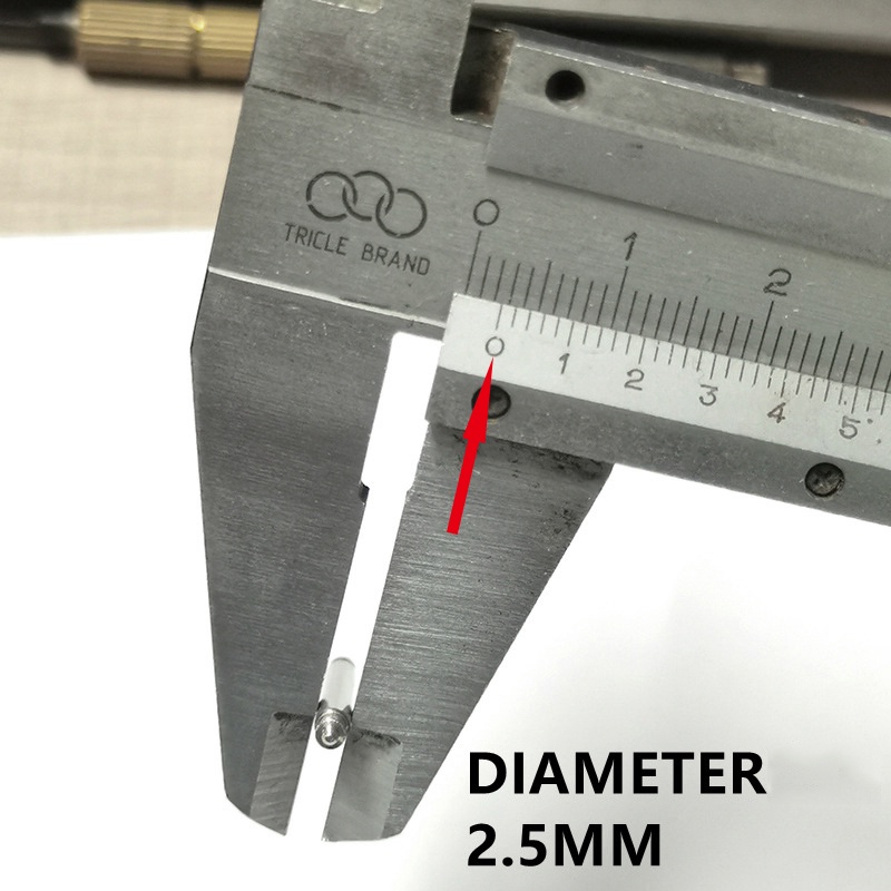 Set 10 Thanh Lò Xo Bằng Thép Không Gỉ 2.5mm Tương Thích Seiko Srx007 Srx009 20mm 22mm