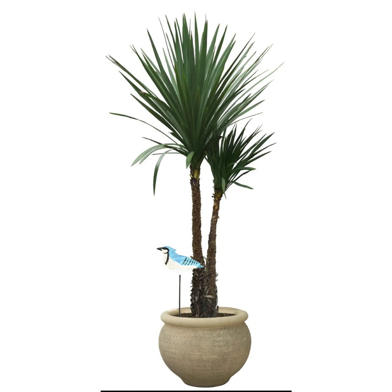 Máy Đo Độ Ẩm Đất Tự Động Dành Cho Trồng Cây Bonsai