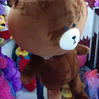 gấu brown 1.8m