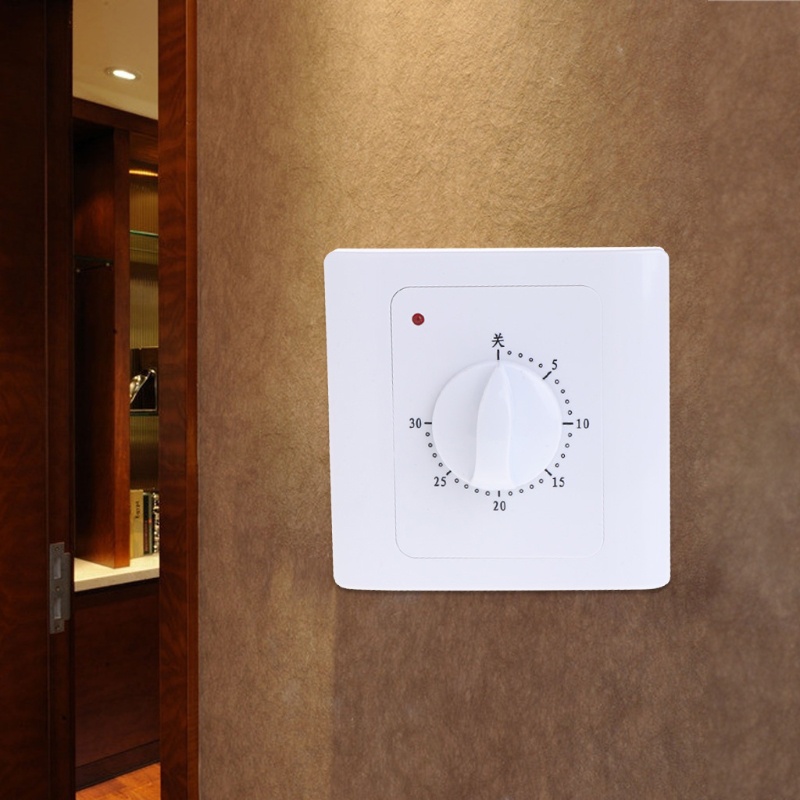 Công Tắc Hẹn Giờ Kỹ Thuật Số AC 220 V 10A 30 Phút