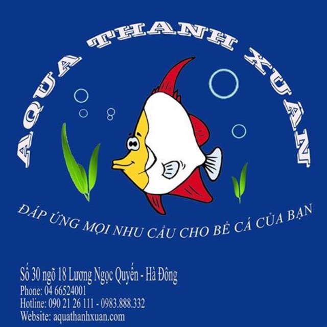 San hô vụn  - Vật liệu lọc cho hồ cá