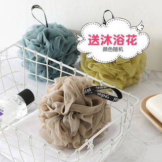 Sữa tắm sữa bò cow, sữa bò, sữa tắm, sữa bò, sữa tắm, sữa tắm