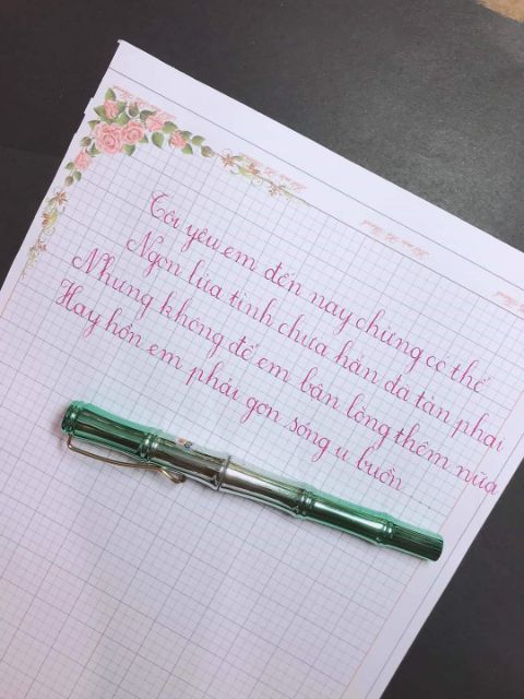 Vở nhật ký, vở viết chữ đẹp Hà Thanh ô ly 3mm, 4mm (100 trang = 50 tờ, khổ A4)