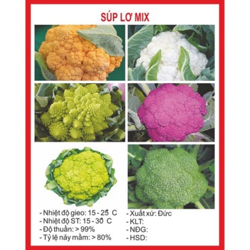 Gói đóng hạt giống súp lơ mix