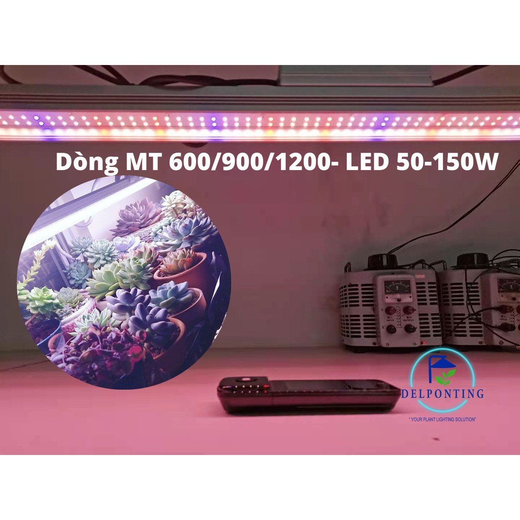 Đèn LED Trồng Cây DELPONTING MT600 LED 50W Đèn Quang Hợp Cho Cây, Rau, Thuỷ Canh, Sen Đá,..