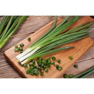 Hạt Giống Hành Lá