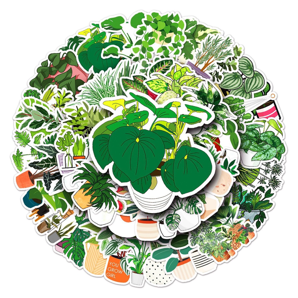 Combo 30 Sticker Chống Nước Decal Dán Điện Thoại Laptop Mũ Bảo Hiểm Vali Guitar Bình Nước [TRẦU BÀ LÁ XẺ CÂY CẢNH]