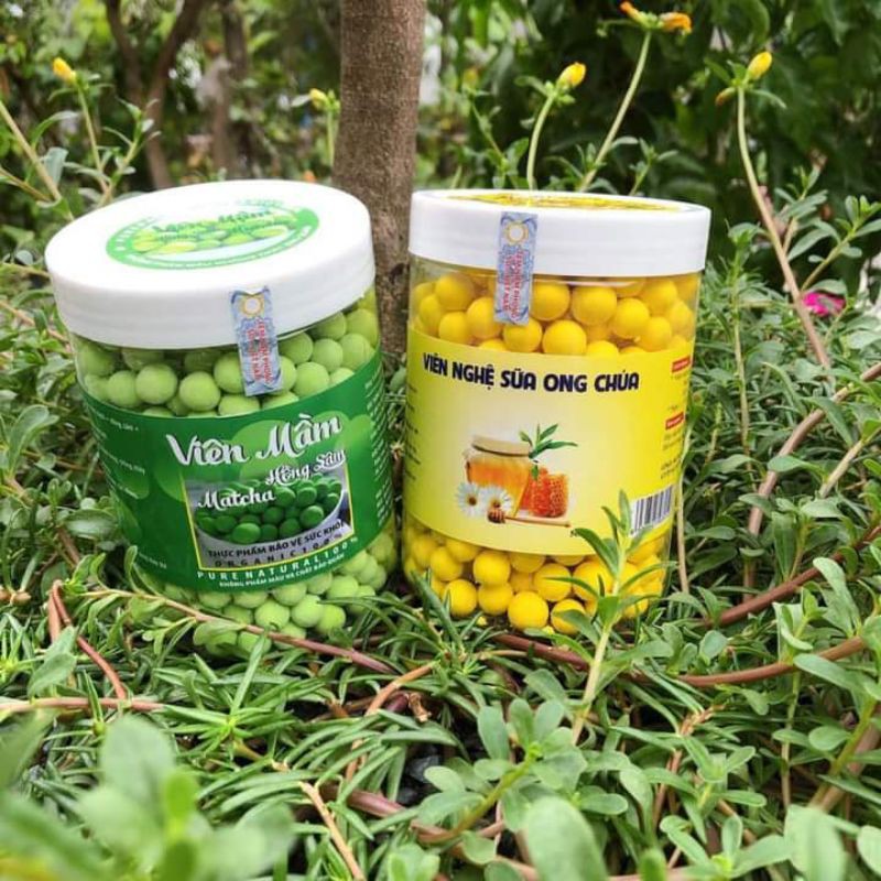 Kẹo Mầm Matcha và Nghệ | BigBuy360 - bigbuy360.vn