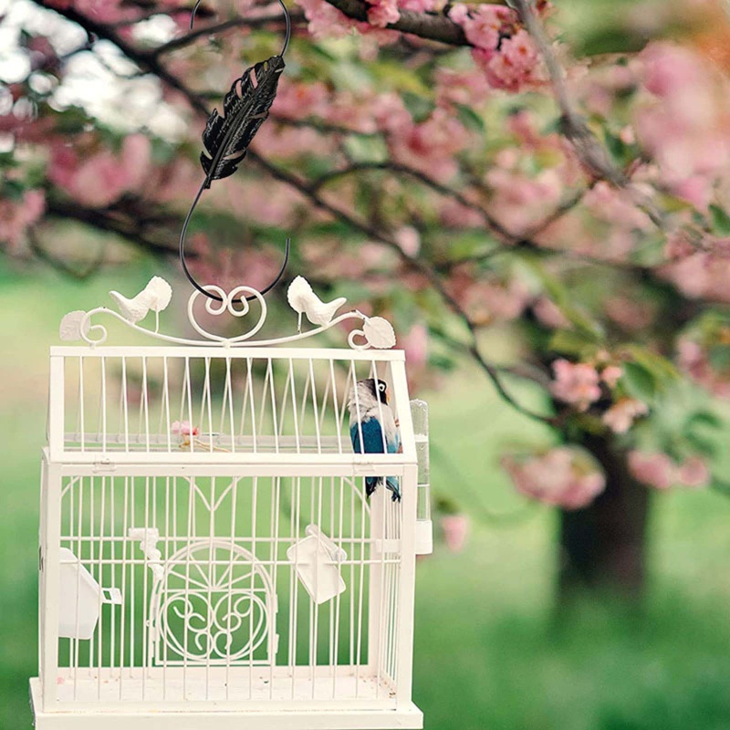 Bộ 2 Móc Treo Thức Ăn Cho Chim Bằng Kim Loại Hình Chữ S