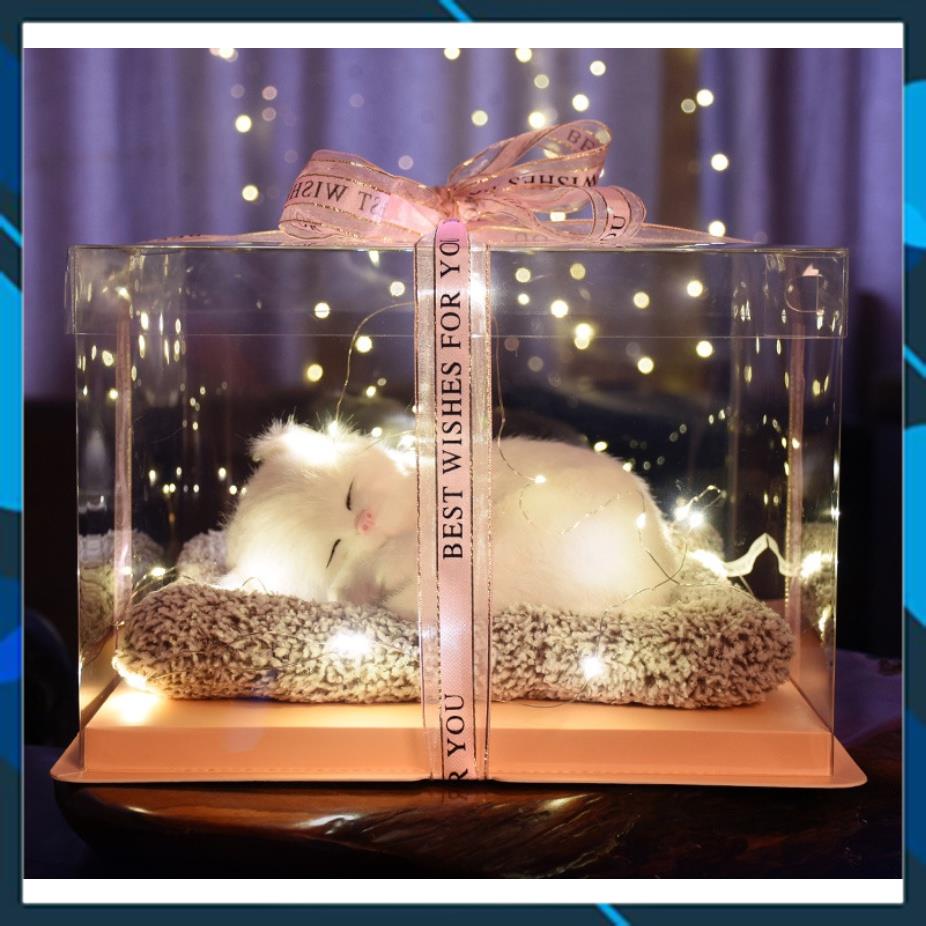 Hộp Quà Trong Suốt Thú Cưng Dễ Thương, Decor Phòng Ngủ, Bàn Làm Việc, Quà Tặng Sinh Nhật - Noel