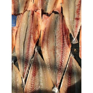 Túi 1kg cá Thu phấn 1 nắng xẻ phanh