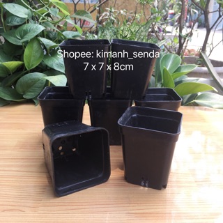 Chậu nhựa vuông size 7 x7cm