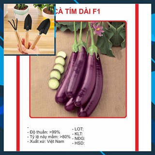 Hạt giống Cà Tím Dài F1 1gram TẶNG BỘ LÀM VƯƠN MINI