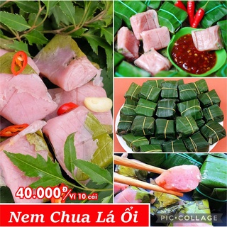 [10 cái] Nem Chua Lá Ổi Bình Định [Ship siêu tốc 1h]