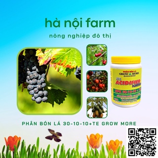 Phân Bón Lá Growmore 30-10-10+TE (Grow More 100g)
