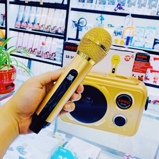Loa Karaoke Bluetooth SD-501 Kèm Micro Không Dây