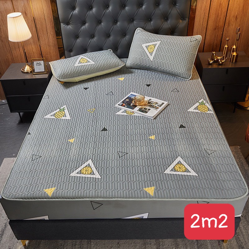 Chiếu Điều Hoà bo chun Mủ Cao Su Non 5D Tencel Mát Mềm Mịn Nhập Khẩu
