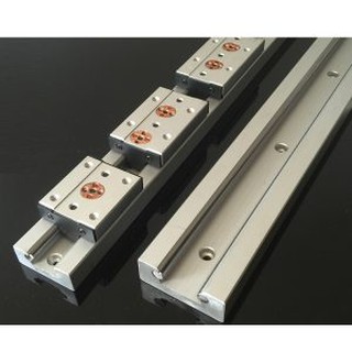 RAY TRƯỢT THẲNG SGR