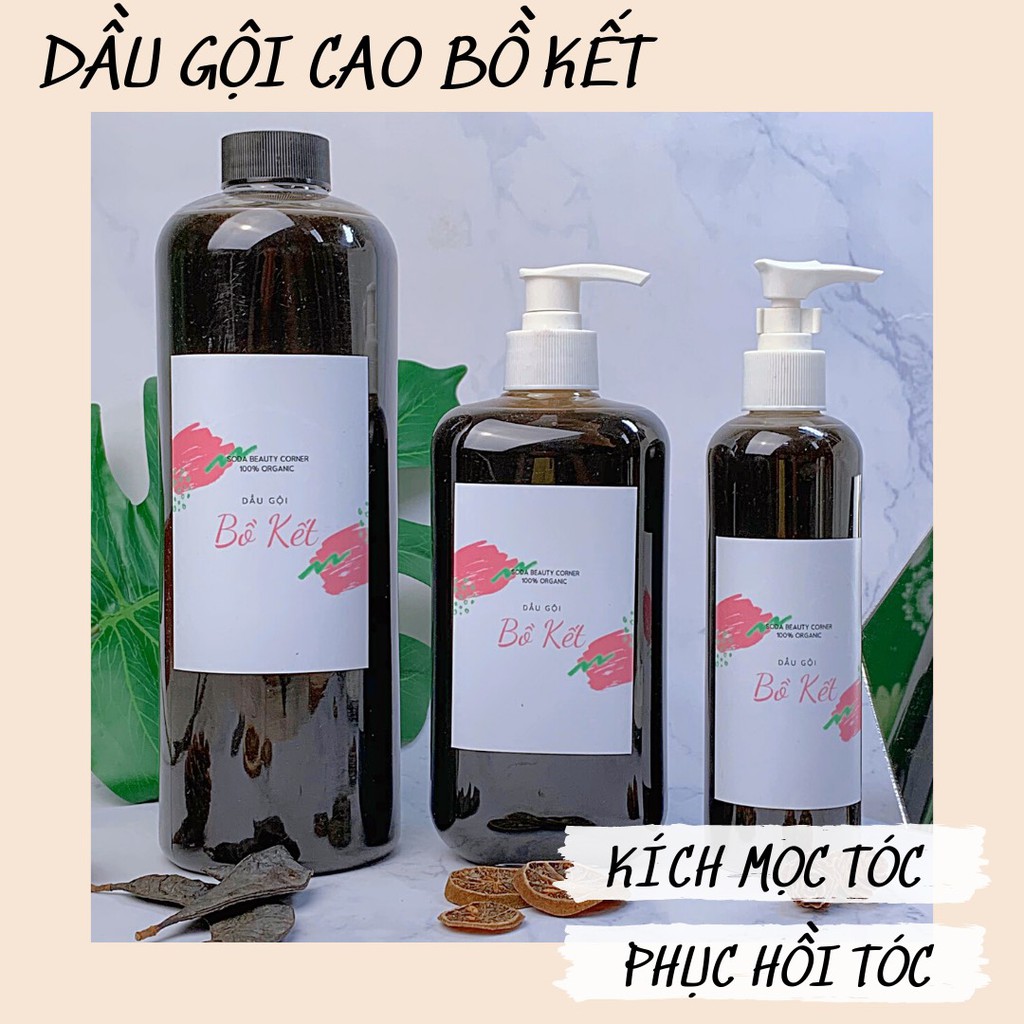 Dầu Gội Thuần Chay Bồ Kết Thuốc Bắc Giúp Kích Mọc Tóc Và Giảm Rụng Tóc - SODA Beauty Corner.