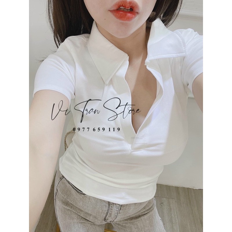 Áo thun body cổ bẻ (form thường) tay ngắn BORIP CAO CẤP | BigBuy360 - bigbuy360.vn