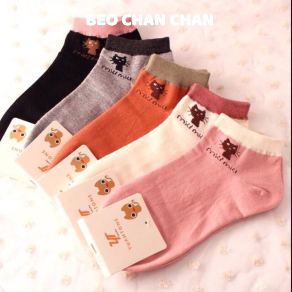 Tất vớ nam nữ ngắn cổ vớ cổ ngắn ulzzang Basic Vintage Hàn Quốc Tất mèo cổ ngắn Miumiu