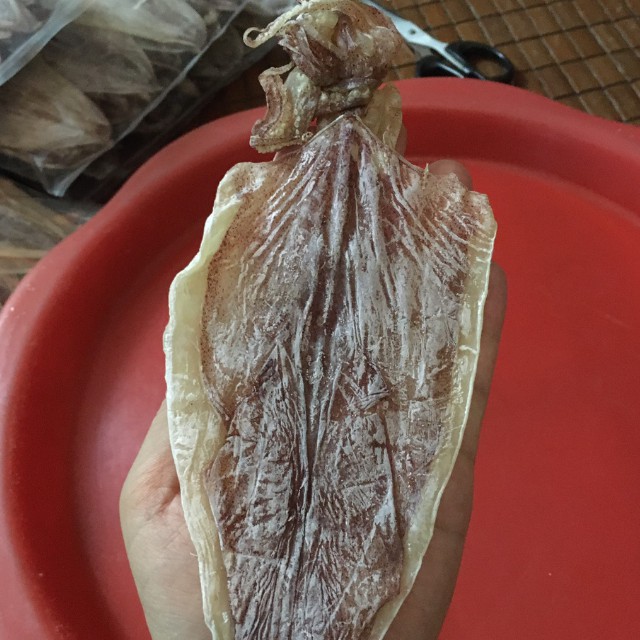 [Mực Câu Ngon] Gói 20 Con Mực Khô Vân Đồn To Bằng Bàn Tay | BigBuy360 - bigbuy360.vn