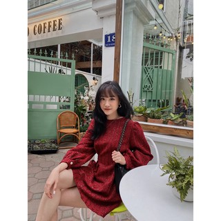 Váy dạ nhũ